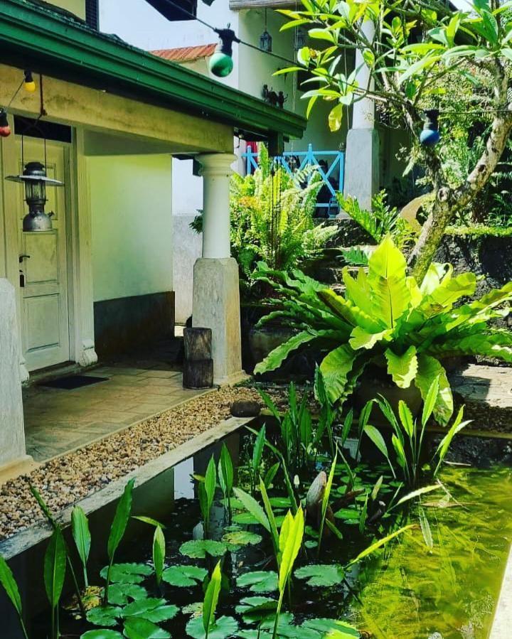 Jansen'S Bungalow Sinharaja Rainforest Retreat Kudawe Exterior photo